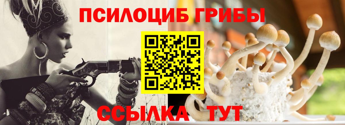 Зерноград  Галлюциногенные грибы мицелий  Вход с VPN 